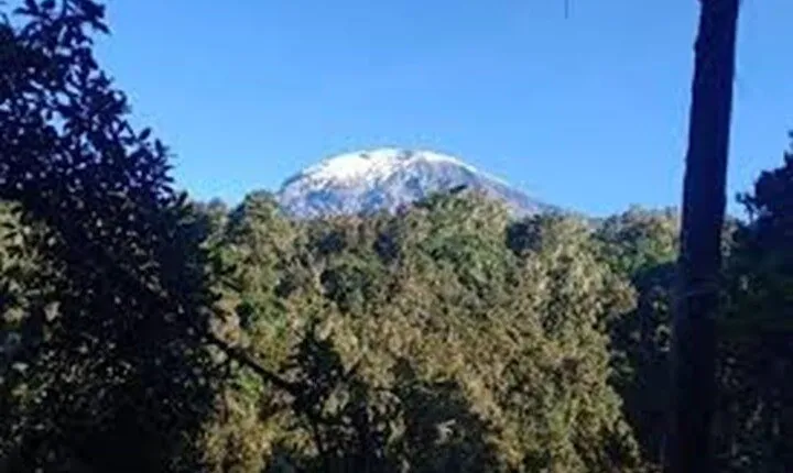 Best Kilimanjaro hiking day trip tour with Kilinge Adventures
