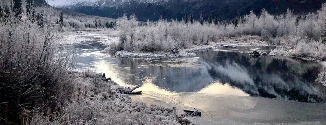 Chugach State Park winter valley and forest hike