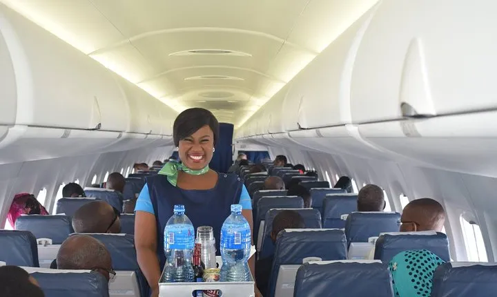 Ruaha National Park From Dar Es Salaam Flying Option 3 Days 2 Nights