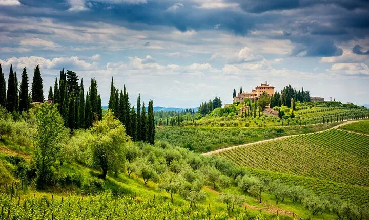 Full-Day Private Chianti Classico Wine Tour from Florence