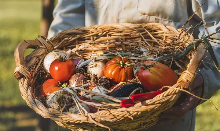 Special vegan cooking class in Tuscany: discover the flavours of Valdichiana Senese