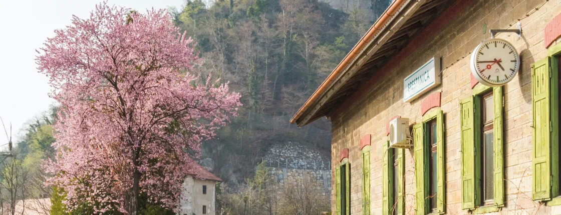 Castle Rajhenburg day trip with chocolate and wine from Bled