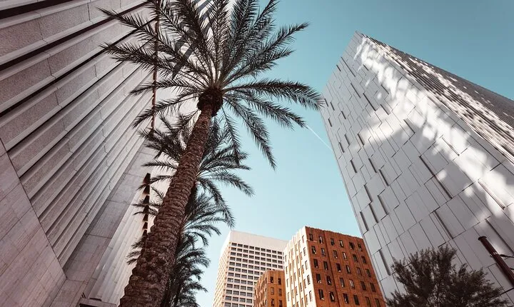 Phoenix : Private Customize Walking Tour With A Guide (Private)