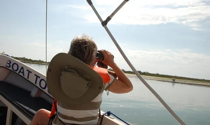 5 Days Birdwatching in Tavira and Ria Formosa