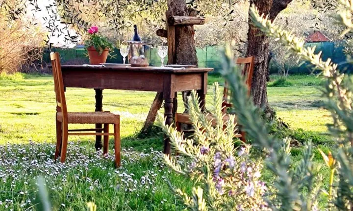 Dining Experience in a 13th-Century Monastery in Florence
