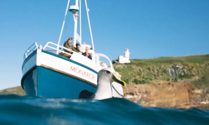 Monarch Wildlife Cruise