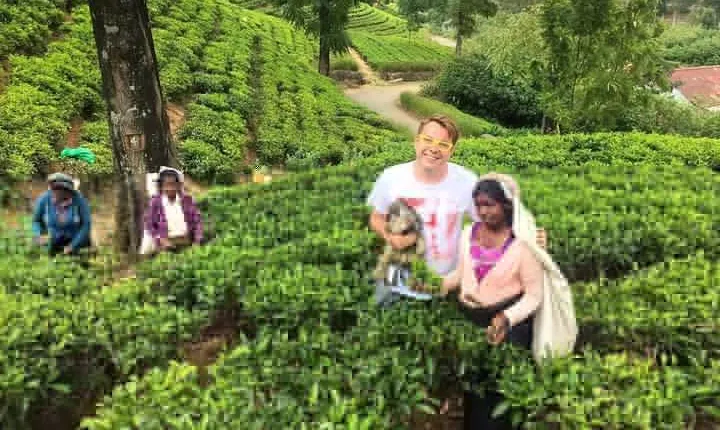 2 -Days private tour to Nuwara Eliya from Colombo