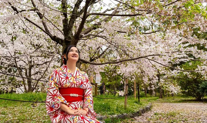 Sakura Season Photoshoot Experience in Kyoto 