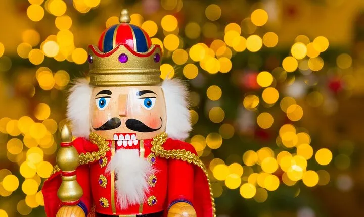 Dallas Christmas Lights Tour