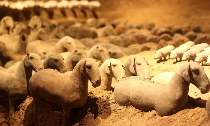 Private Xi'an Tour: Terracotta Warriors, Hanyangling Museum, Cave Homes