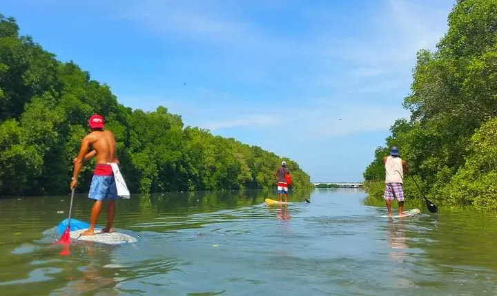 Stand Up Paddle Boarding with Pickup & Drop Off