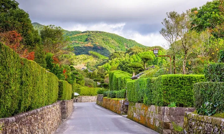 Private Shore Tour: Chiran Samurai Gardens from Kagoshima