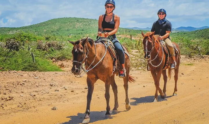 Los Cabos Horseback Riding