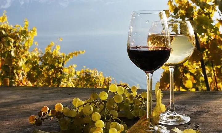 The Vine Tour from Zurich (Private Tour)