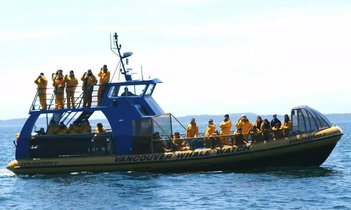 Whale-Watching Tour from Vancouver