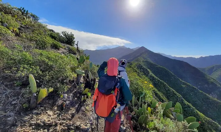 Guided hiking excursion to Masca, in Tenerife