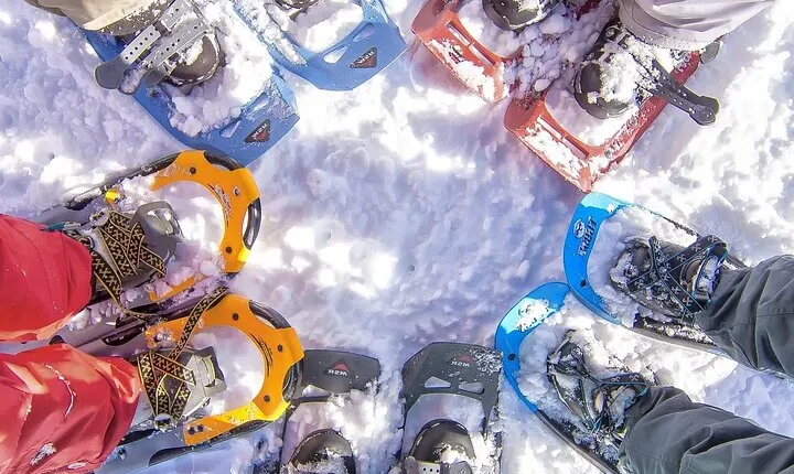 Snowshoeing tour with Wild Lunch