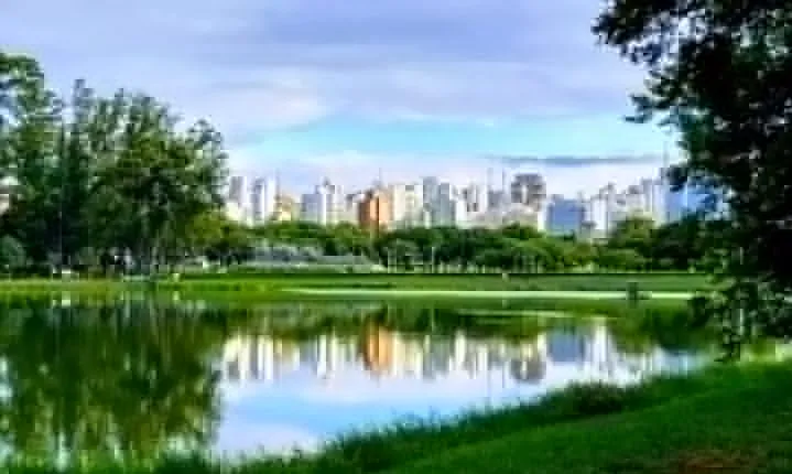 Amazing São Paulo overview in 4 or 5 hours with a private guide