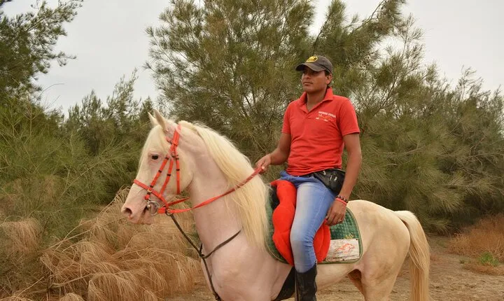 Nabq Bay Desert Adventure Horse or Camel Riding - Sharm El Sheikh