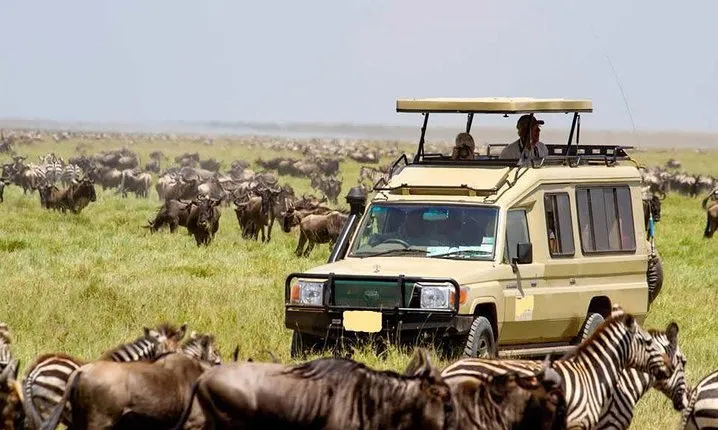 Nairobi National Park Guided Day Tour From Nairobi