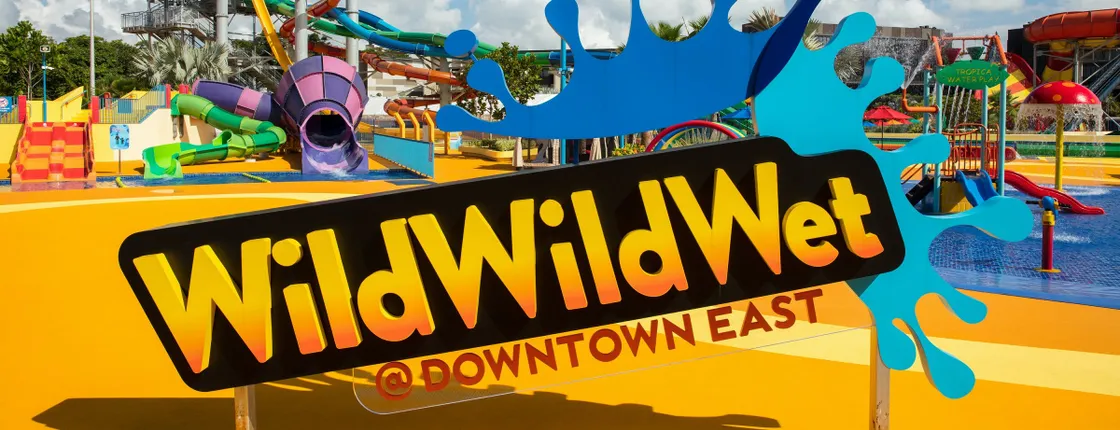Wild Wild Wet Waterpark Entrance Ticket