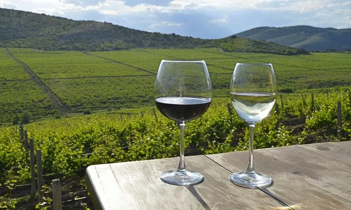 Wine tour Macedonia