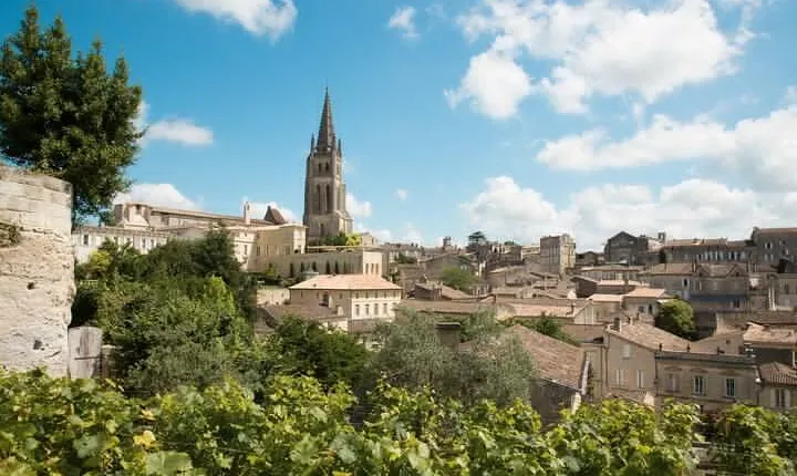 Half day tour Saint-Emilion : Village & Château with wine tasting