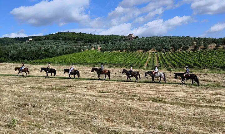 Horseback Riding in the Vineyards