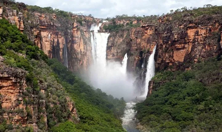 Kakadu National Park Scenic Flight &Yellow Water Cruise