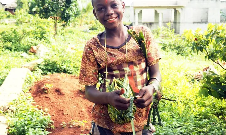 Zanzibar Spices Farms Tour (Private)