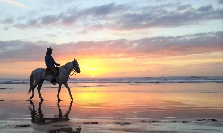 Horse riding at sunset for 2 hours