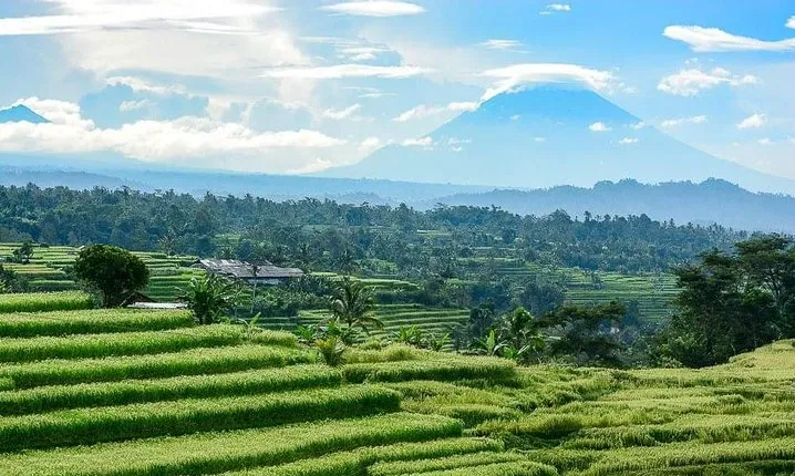 Bali Private Hired Car with Private Driver