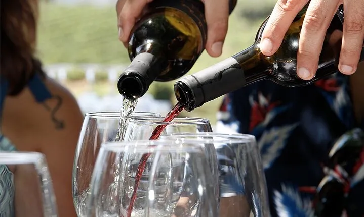 Full-Day Tour with Lunch and Wine Tastings in Portugal