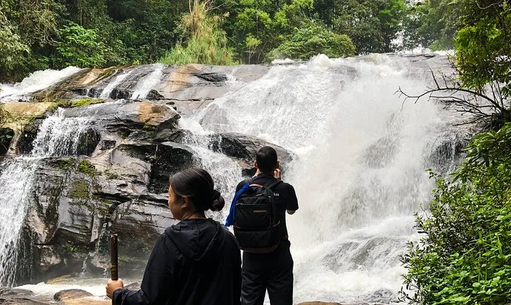 Inthanon National Park Tour with Soft Hike at Pha Dok Siew Trail
