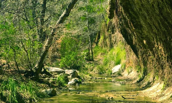 Travel Destination For Exhausted Women Who Need Refreshing!