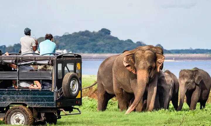 GO WILD! Double Safari Day Trip (Yala & Udawalawe) - Private & All Inclusive