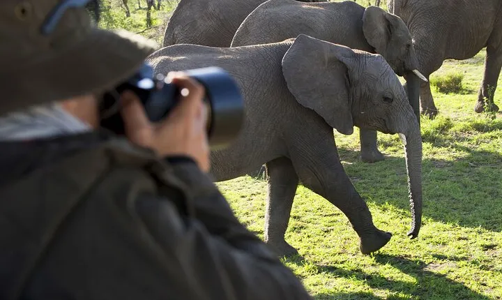 5 Days Tanzania Safari to Serengeti and Ngorongoro Crater