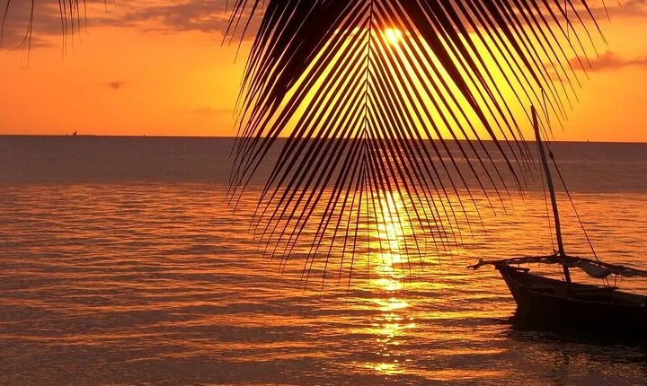 12 Days Bush to Beach Safari With Zanzibar Extension