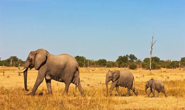 3 Days, 2 Nights Safari - Amboseli National Park and Tsavo West Adventure Safari