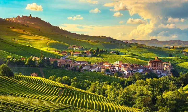 Barolo Wine Tasting, Alba, UNESCO Castle: Small Group from Milan