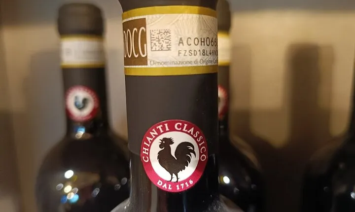 "Good Morning Chianti Classico" - Tour in 2 wineries with lunch