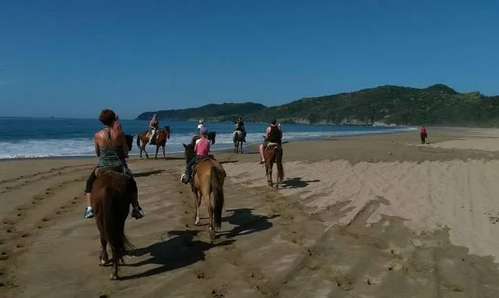 Horseback Riding on the Beach