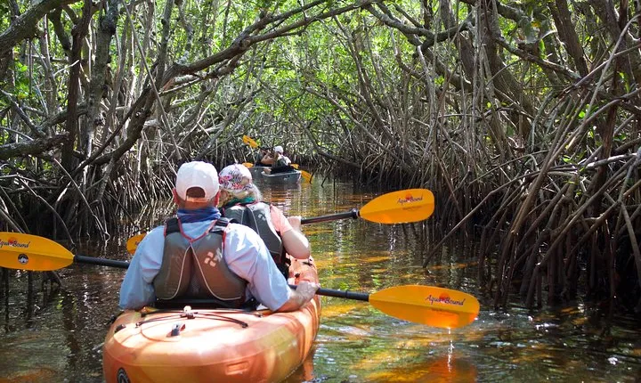 Manatees and Mangrove Tunnels Small Group Kayak Tour