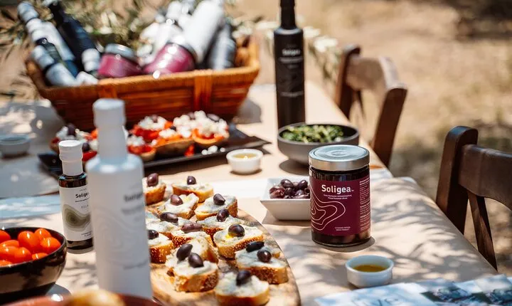 Full-Day Private Tour Corinth and Olive Oil Tasting from Athens