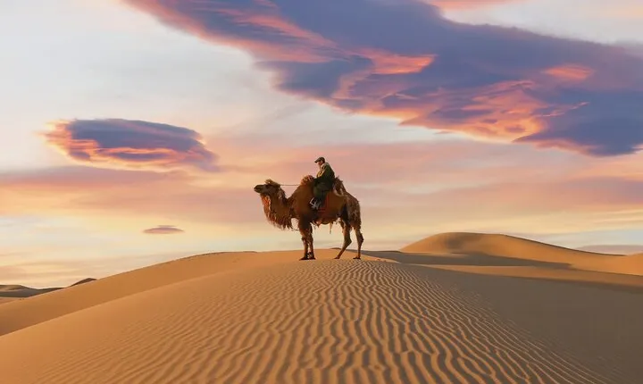 Secret Discoveries of the Gobi