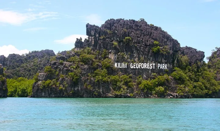 Kilim Geoforest Mangrove Boat Tour (Sharing)