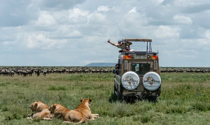 Private 6-Day Great Migration Ndutu Serengeti Safari Tour