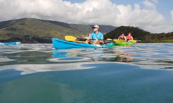 Kayak Turtle Tour from Palm Cove