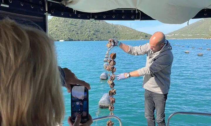 Pelješac - Wine, Oysters and Food Experience from Dubrovnik