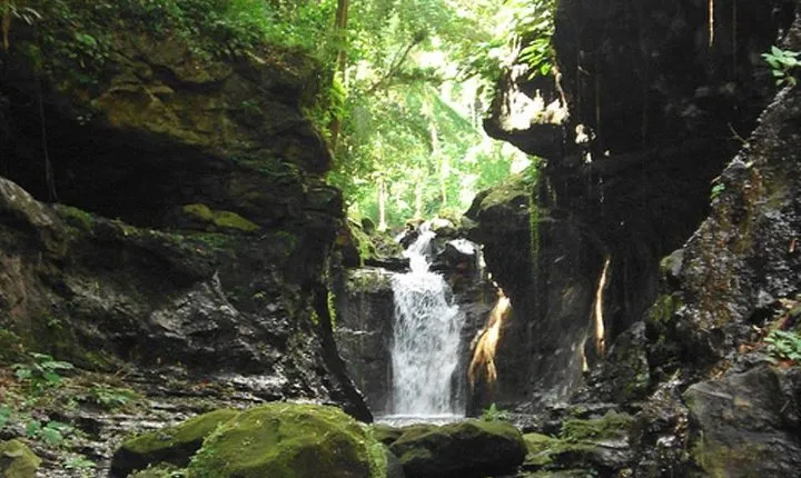 Hidden Valley Springs with Lunch from Manila